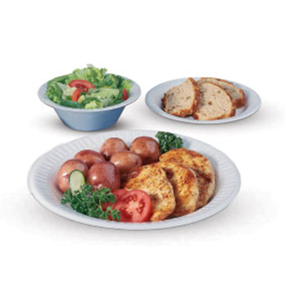 Foam Dinnerware